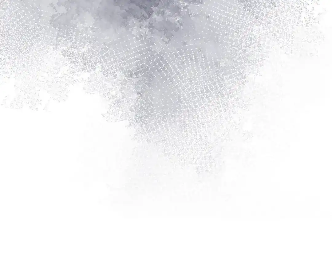 第239页