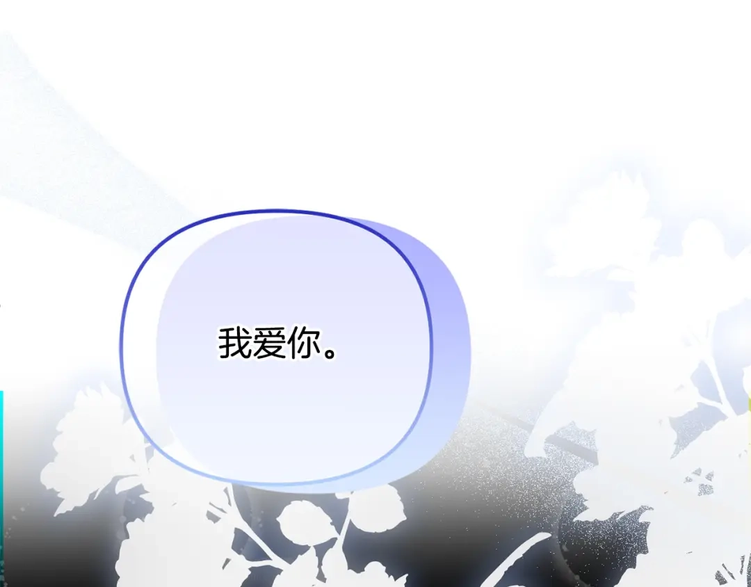 第205页