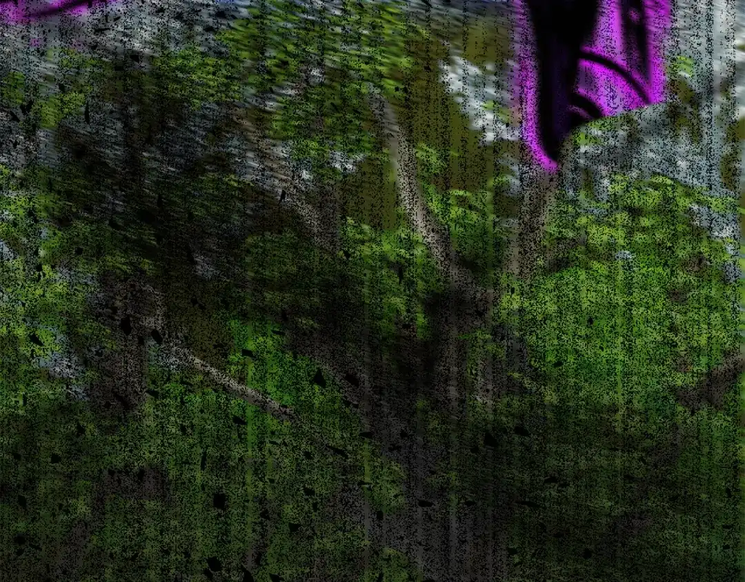 第232页