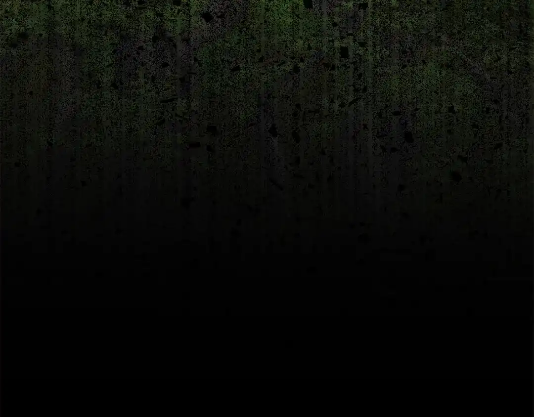 第233页