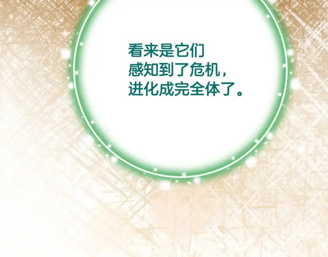 第223页