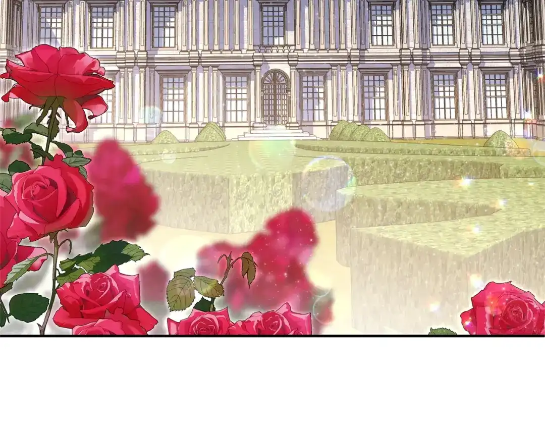 第221页