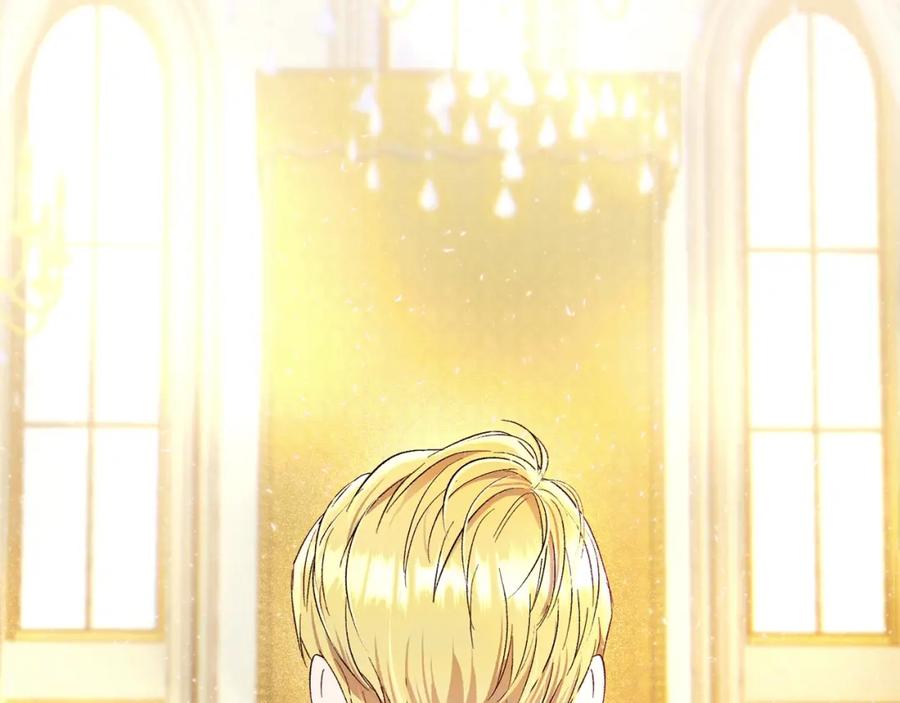 第206页