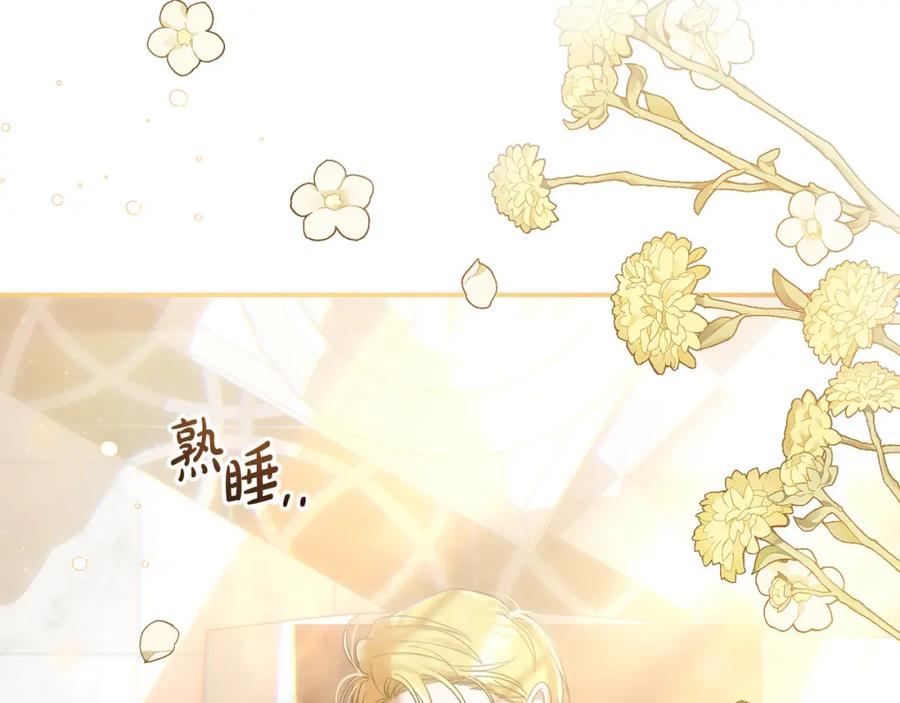 第215页