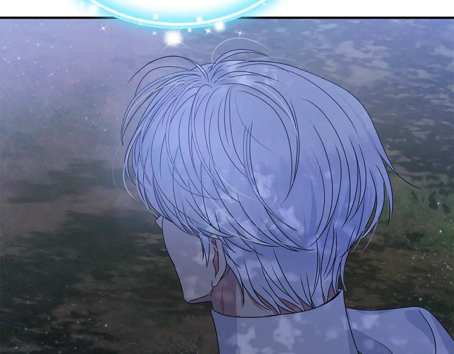 第228页