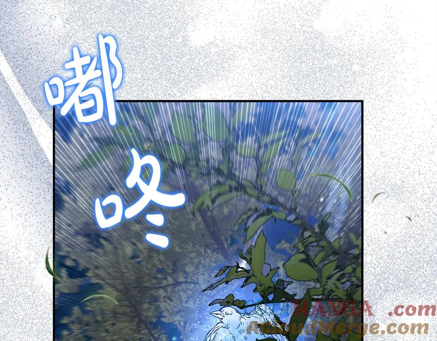 第241页