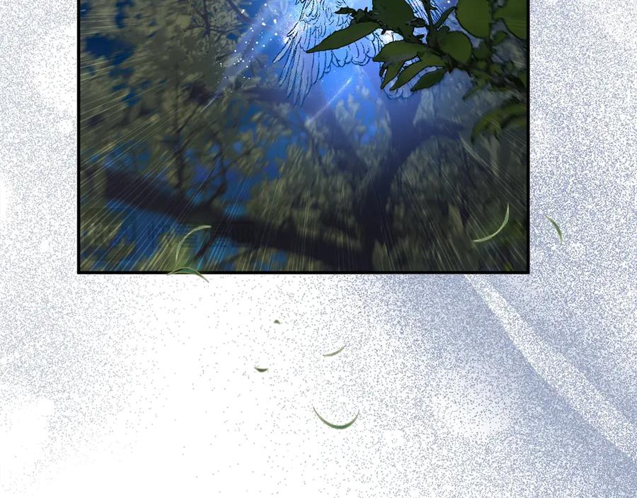 第242页
