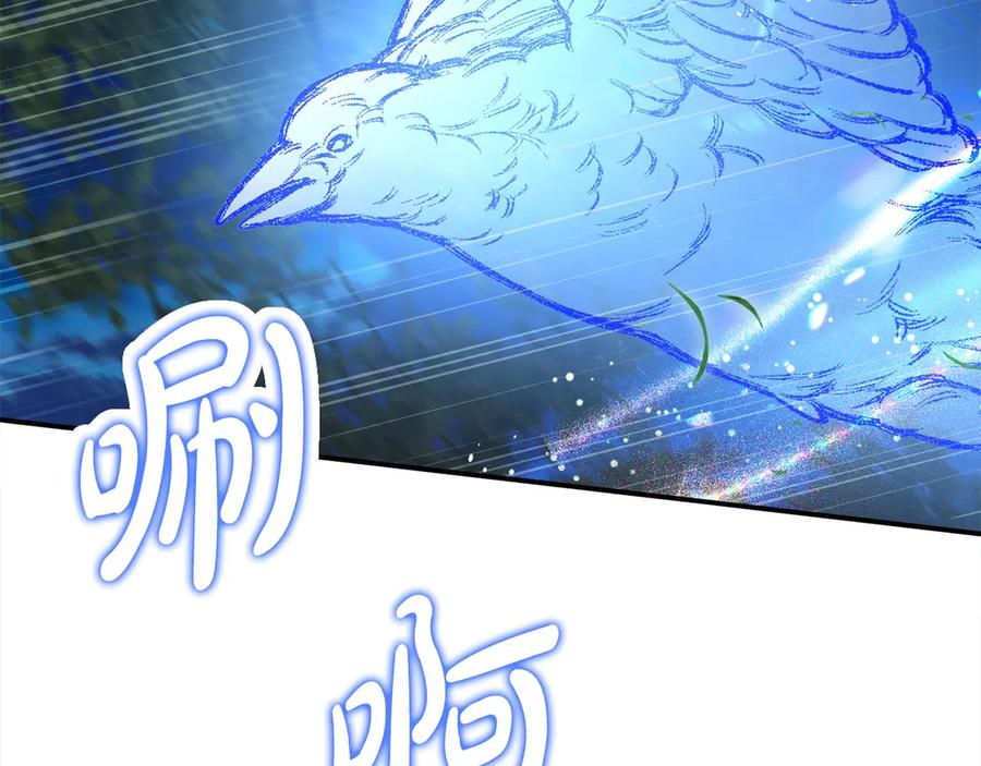 第255页