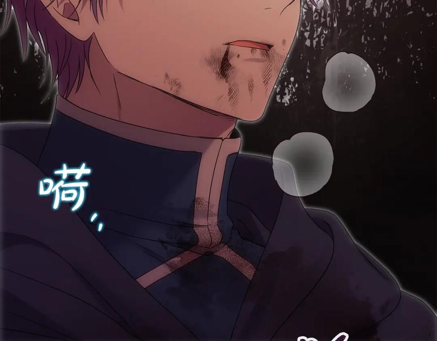 第204页