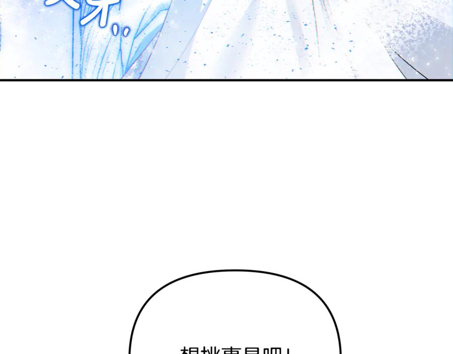 第242页