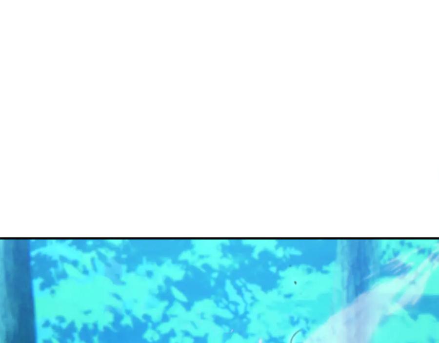 第255页