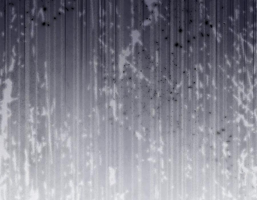 第217页