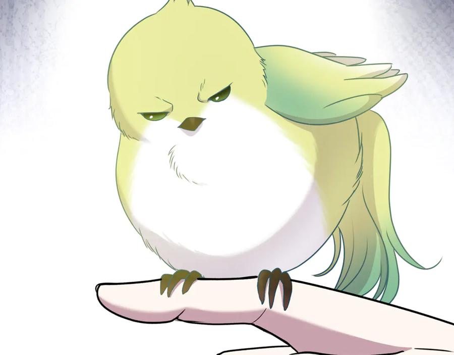 第202页