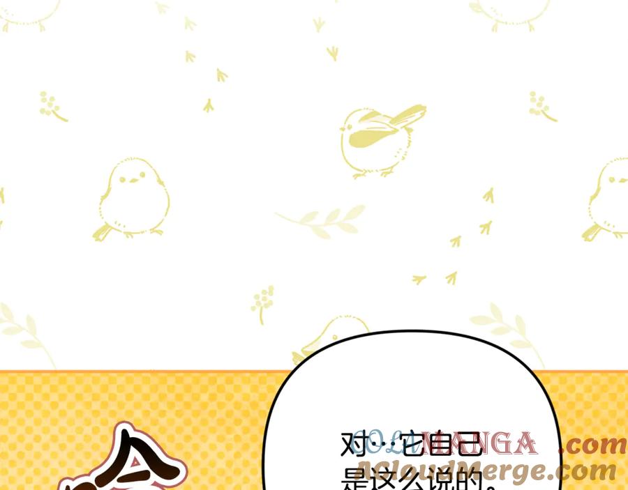 第205页