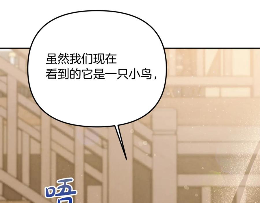 第224页