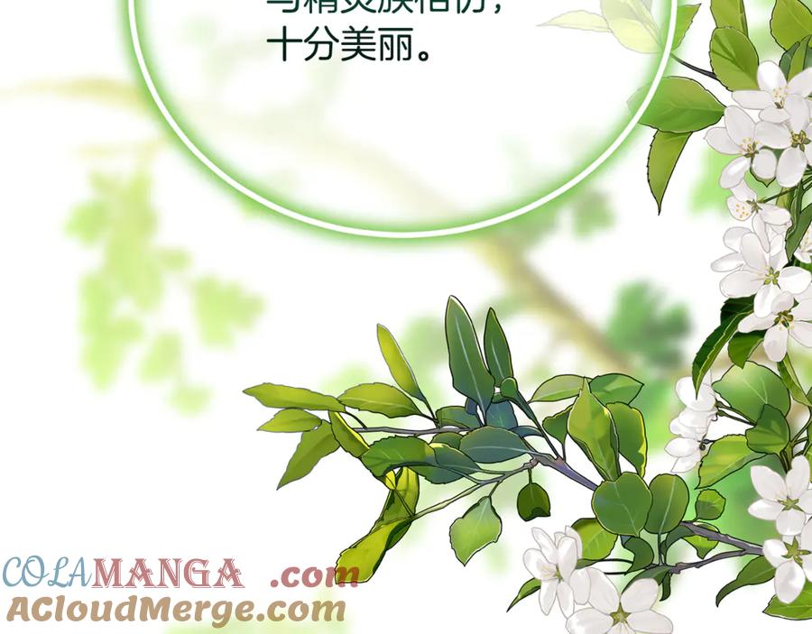 第229页