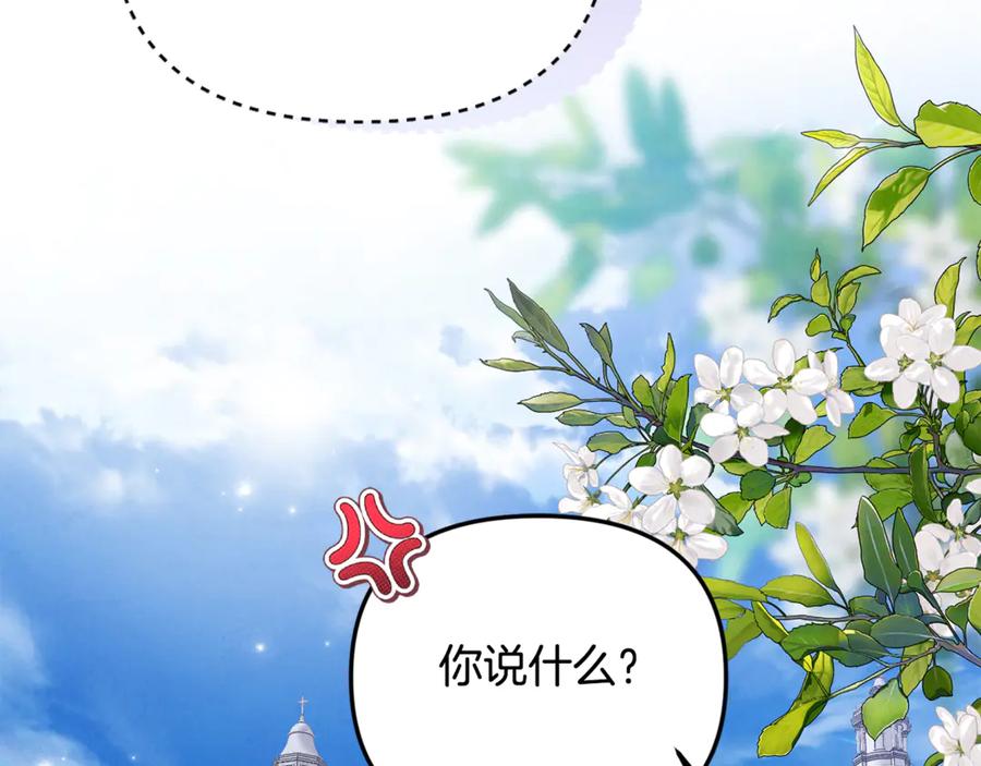 第223页