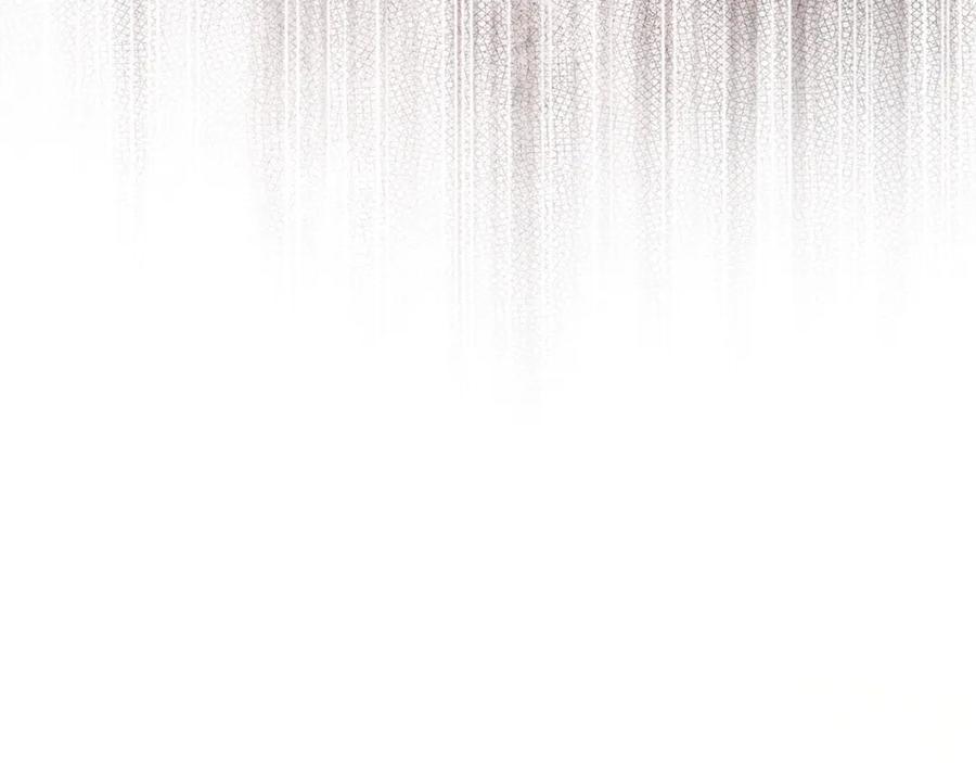 第228页