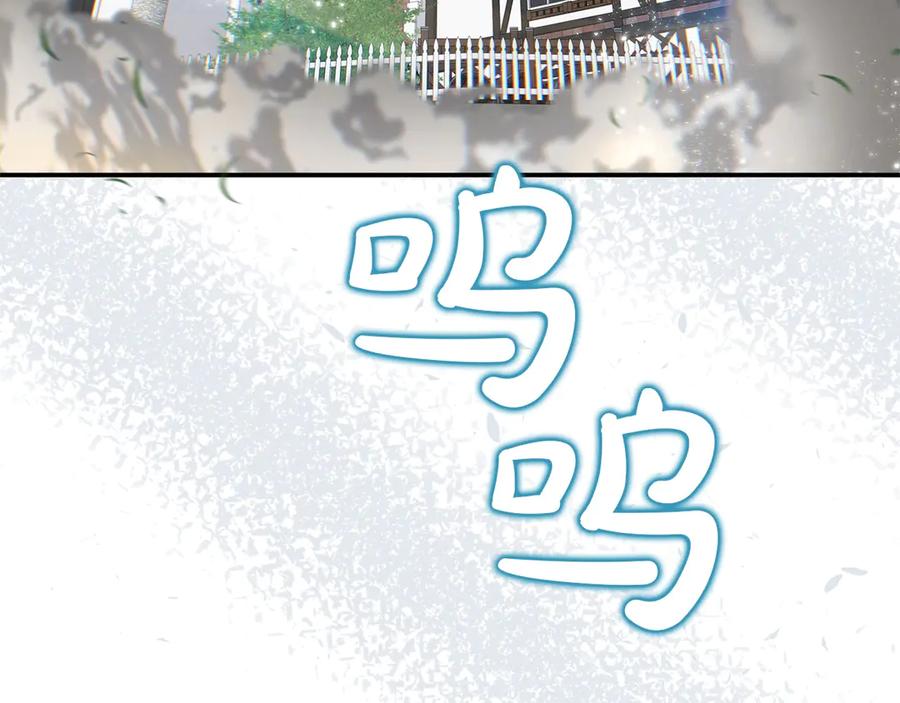 第223页