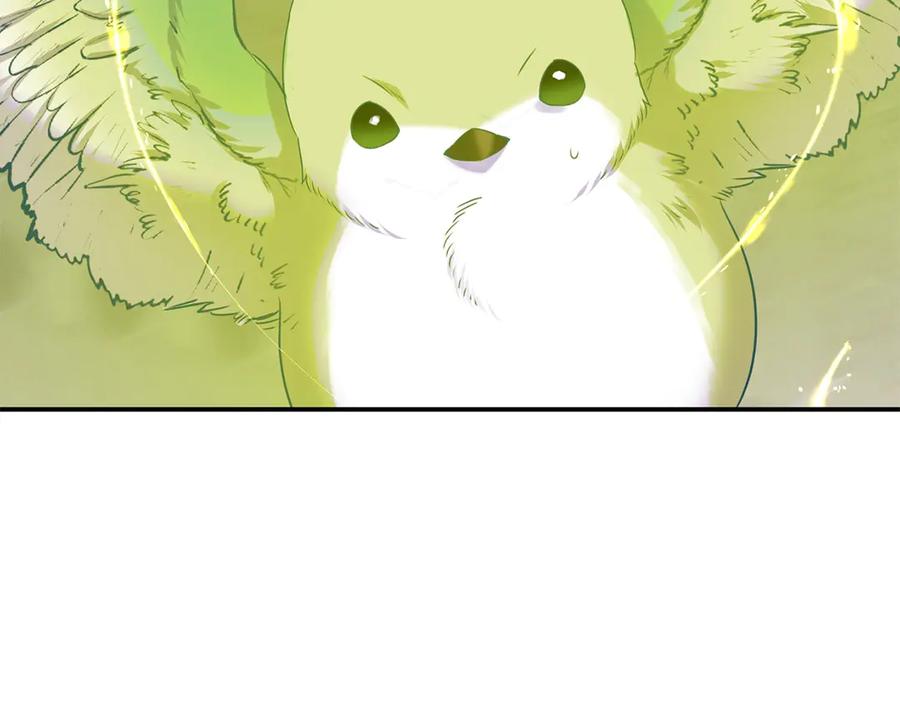 第240页