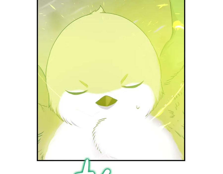 第242页