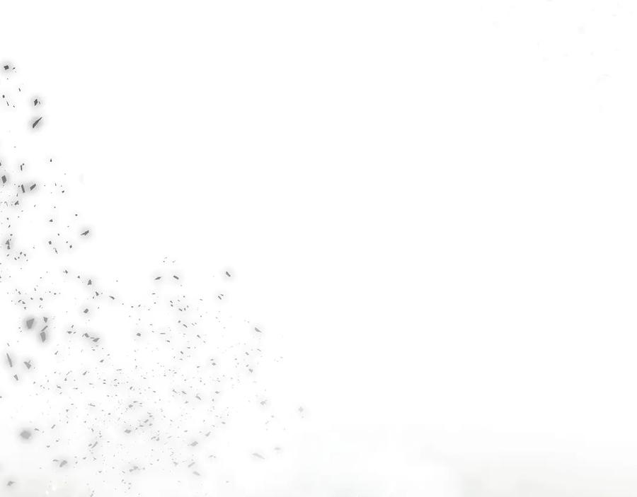 第263页