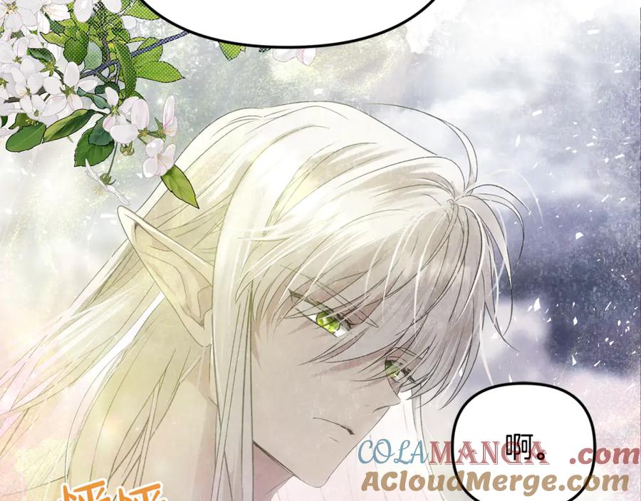 第205页