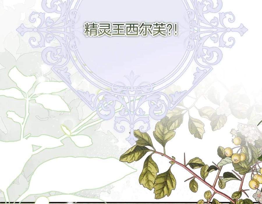 第223页