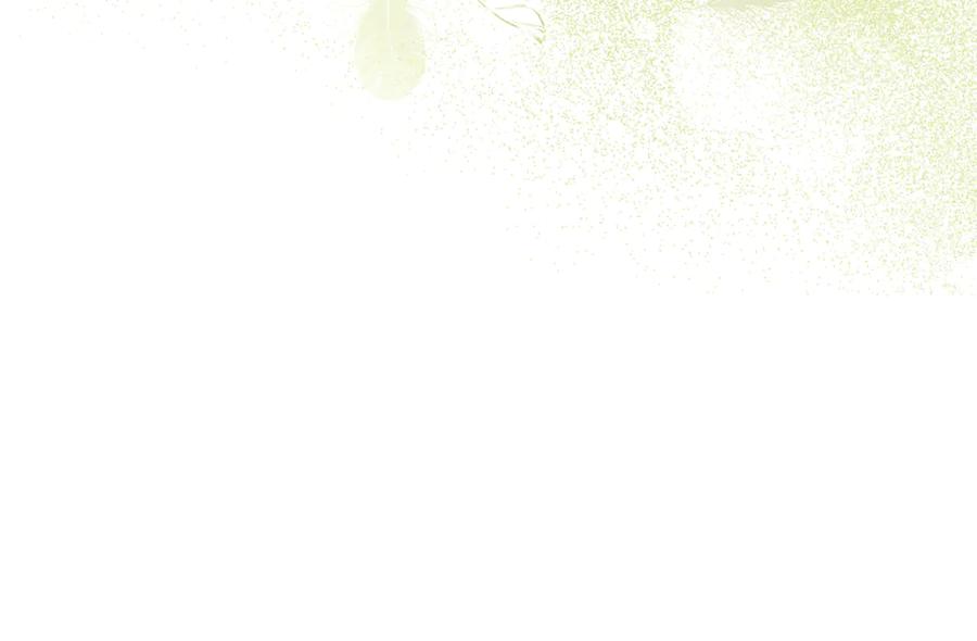 第190页