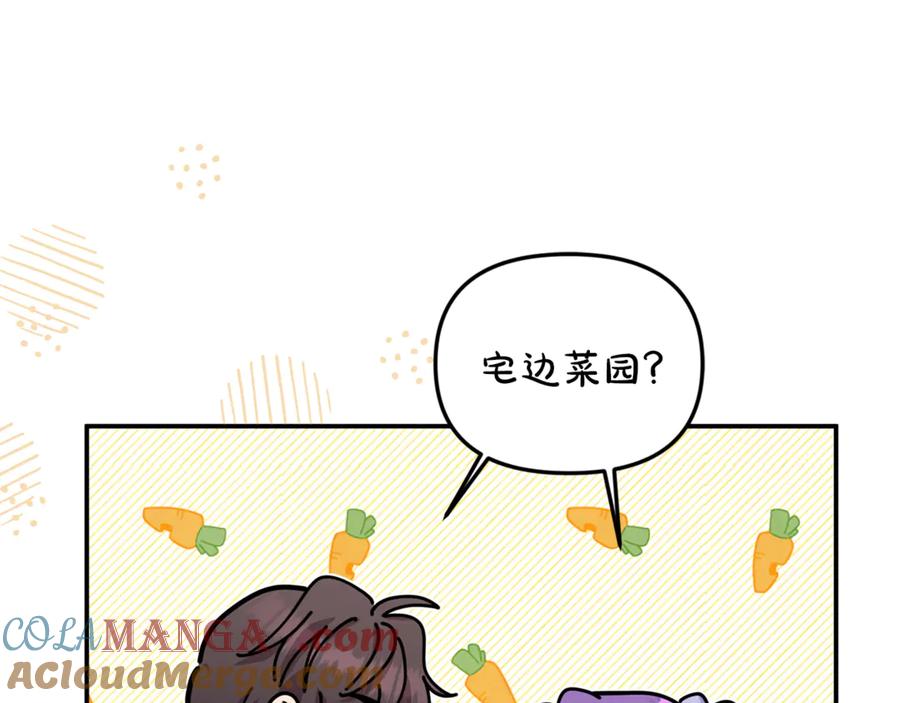 第253页
