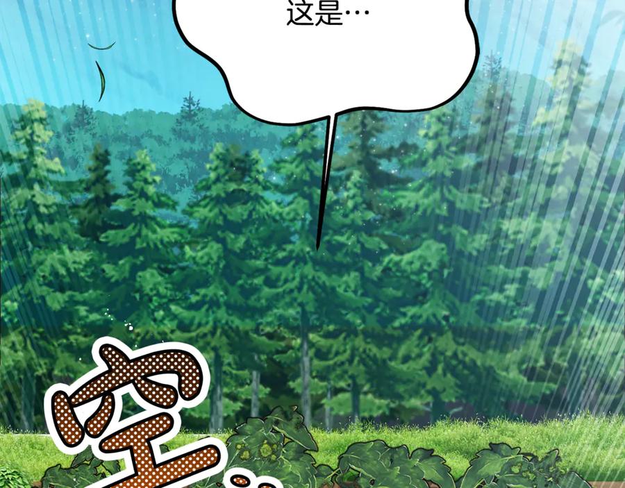 第270页