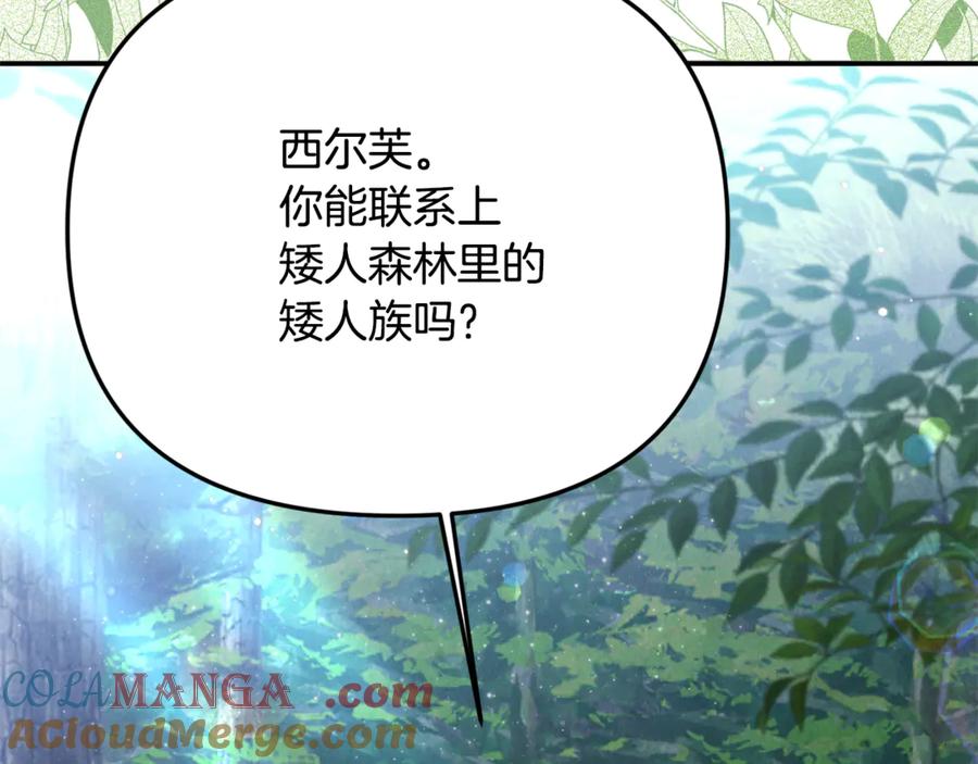 第205页
