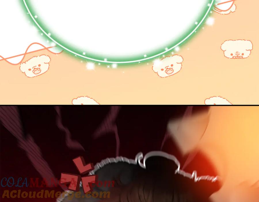第213页