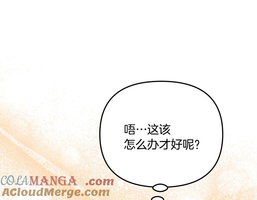 第221页