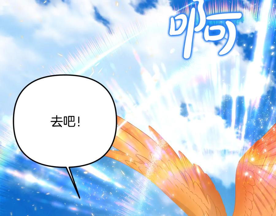 第228页