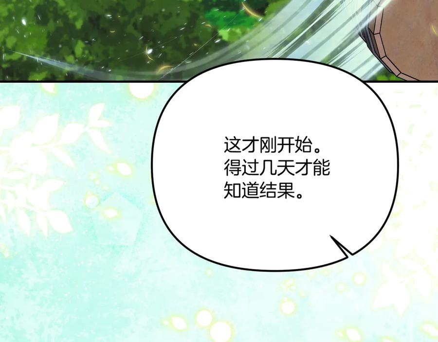 第244页