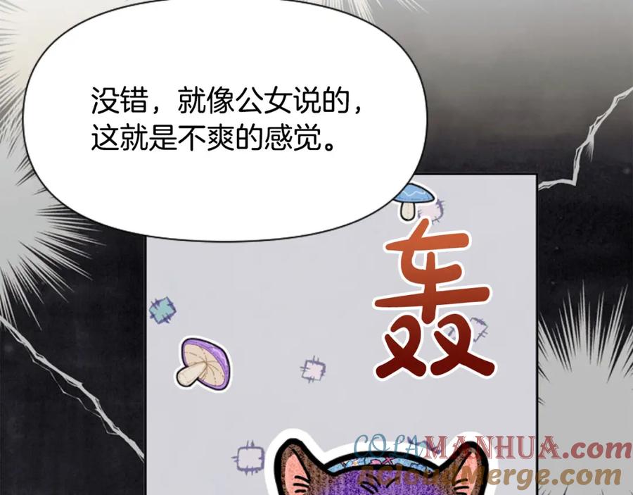 第213页