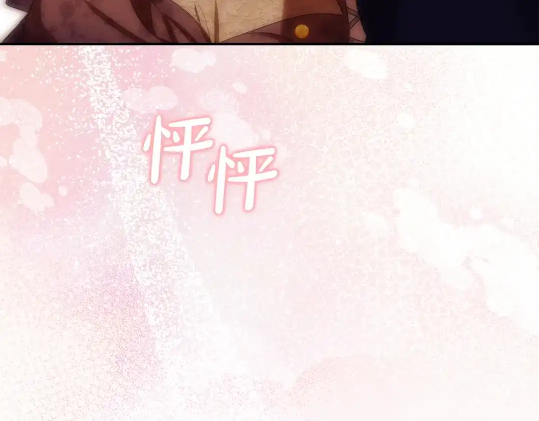 第216页