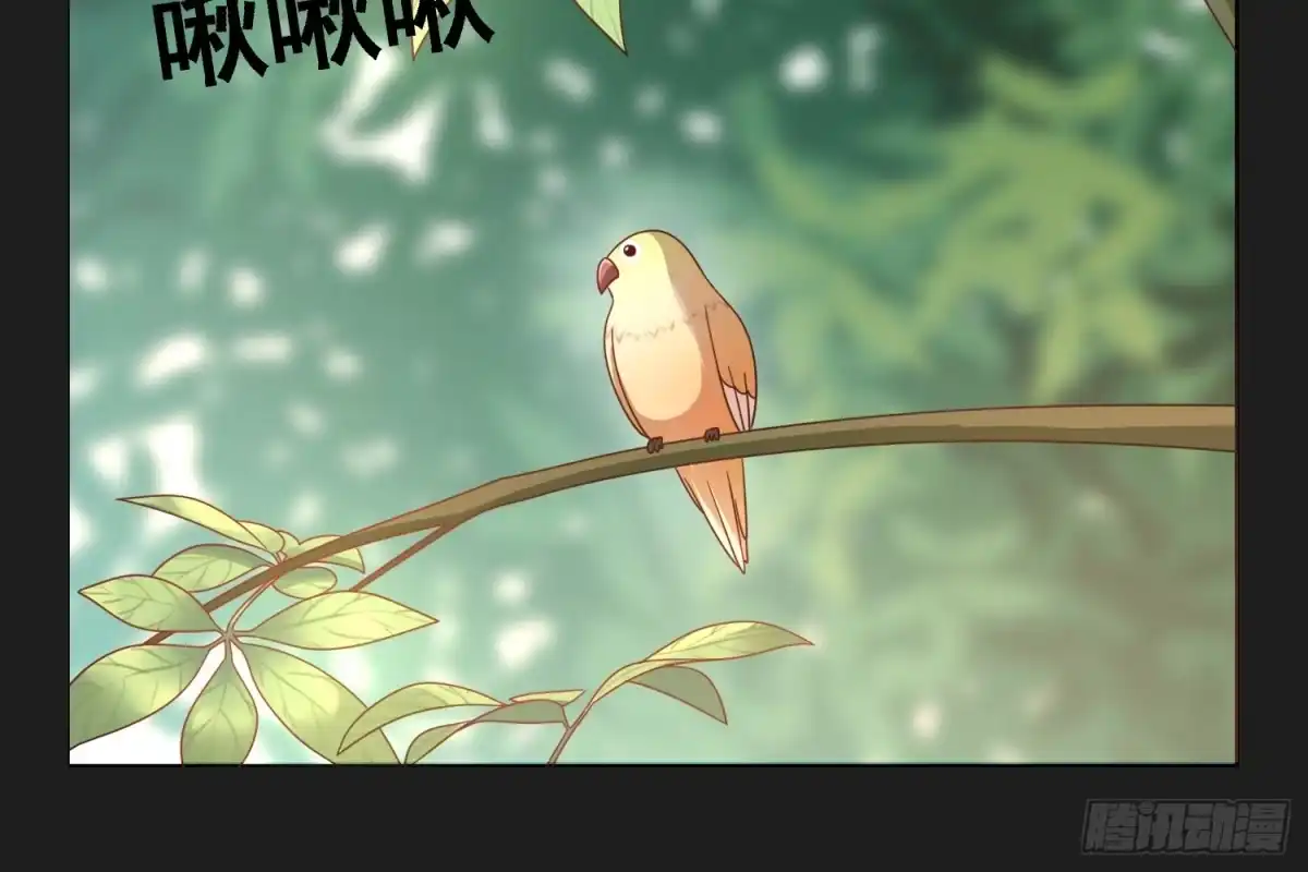 第135页