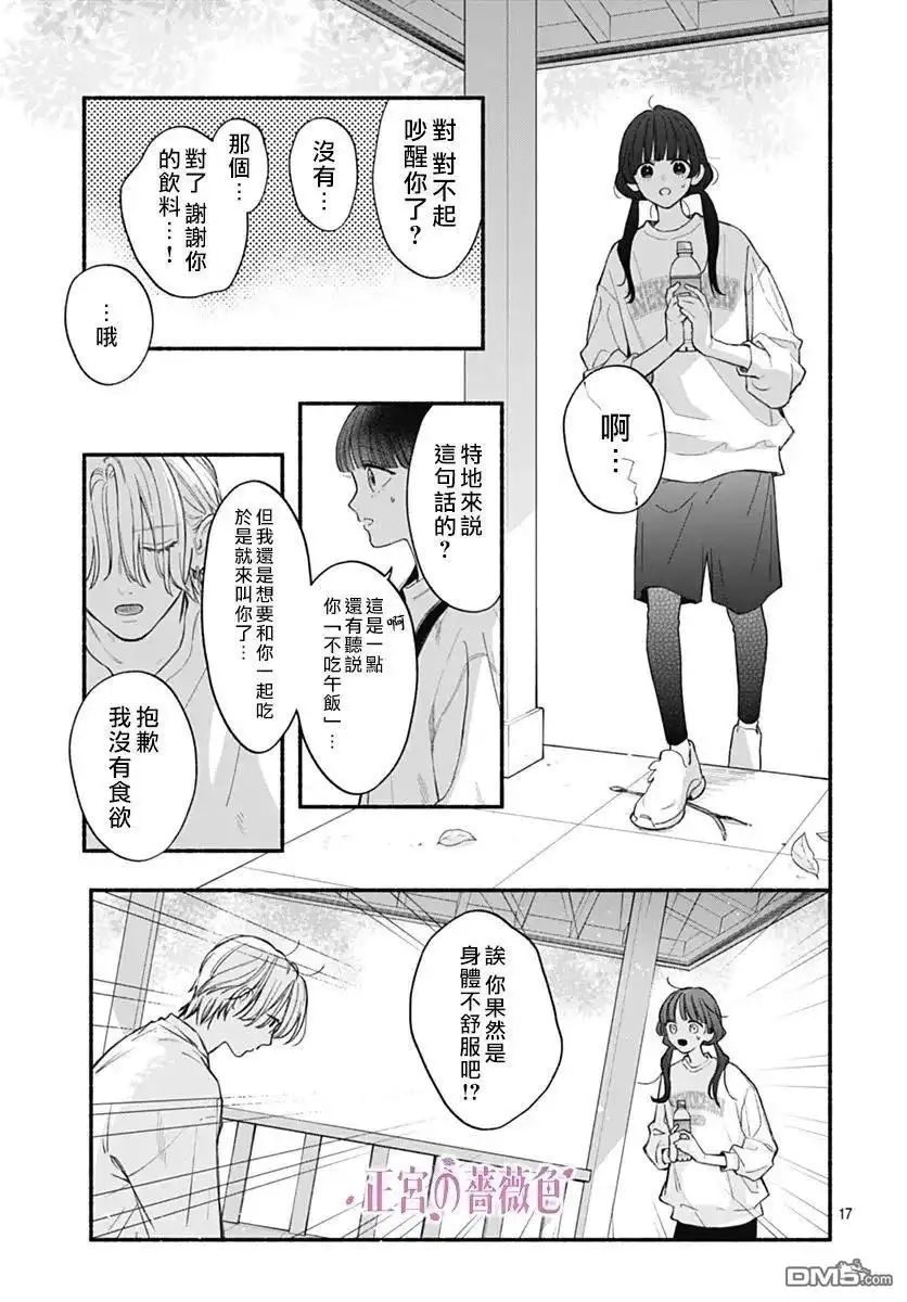 第17页