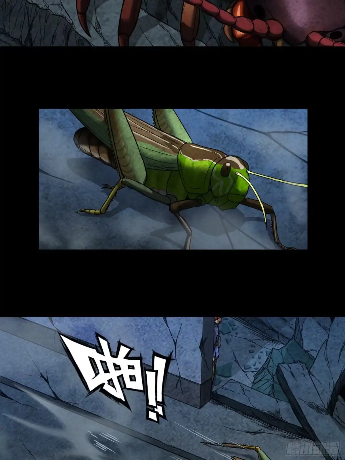第24页