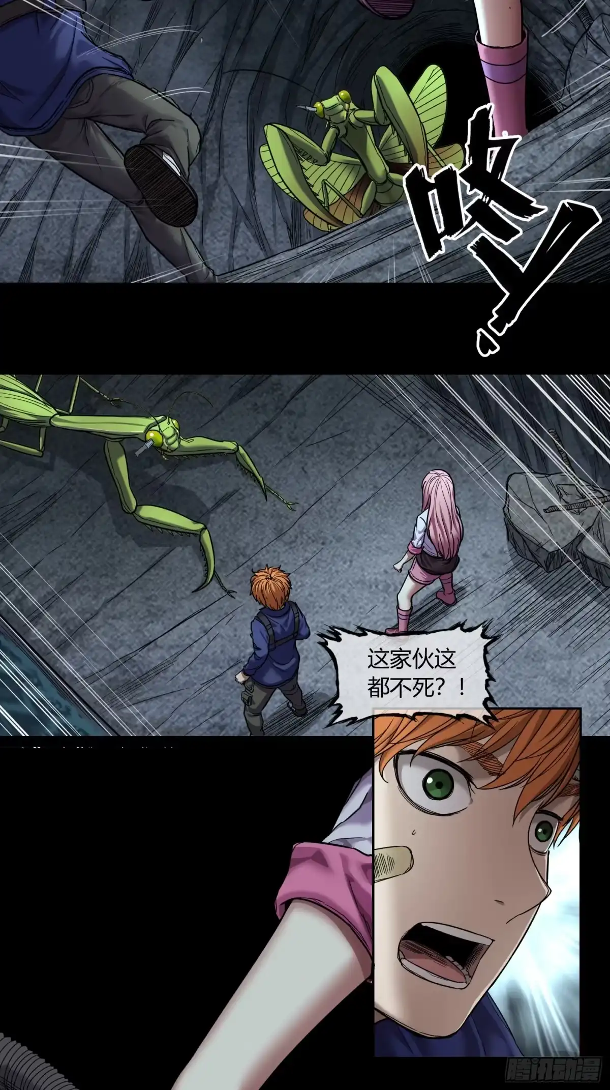 第3页