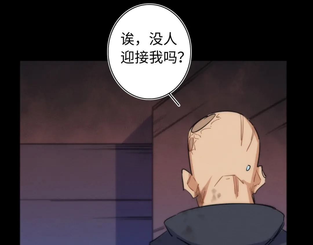 第223页