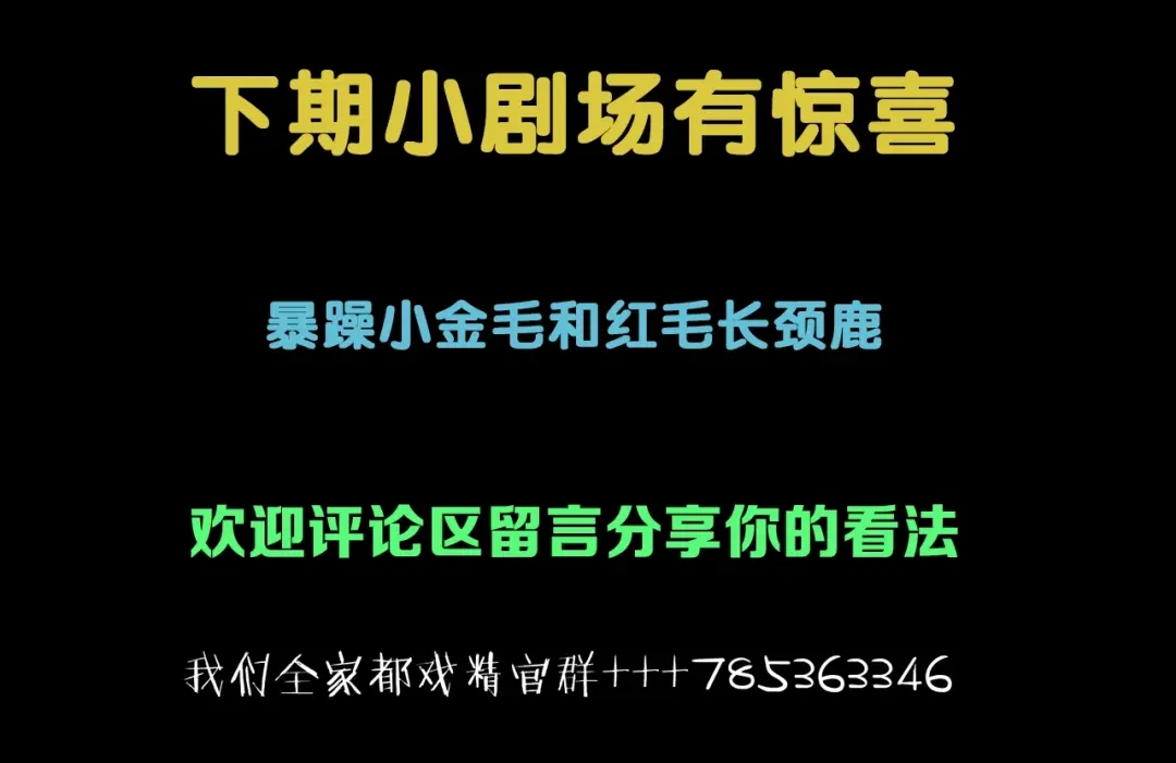 第305页