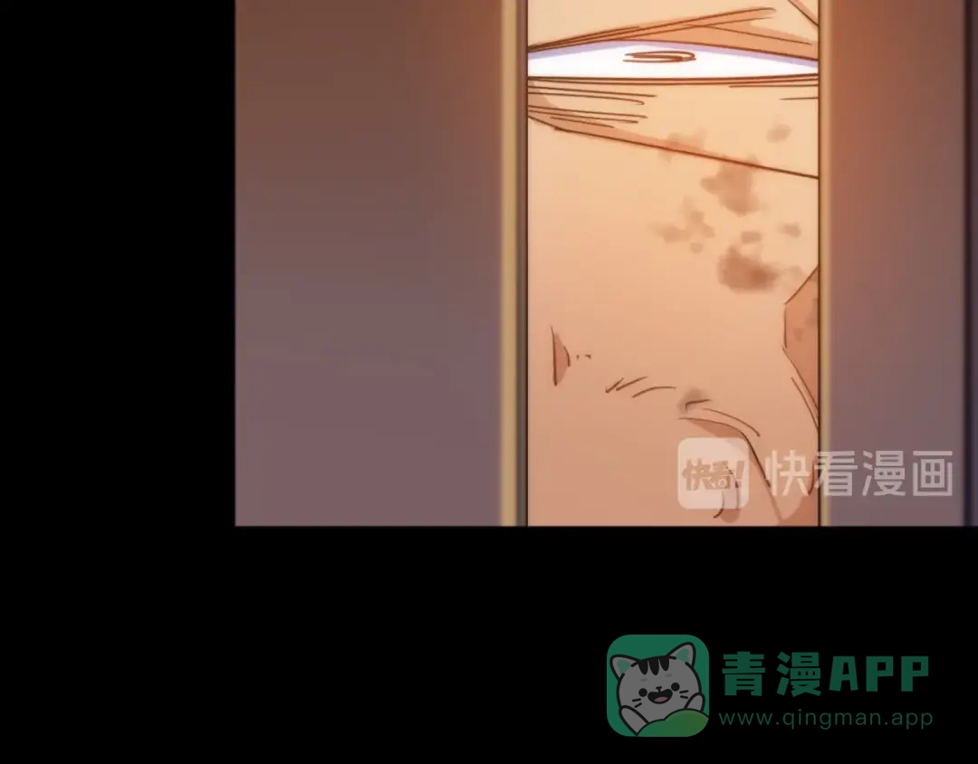 第213页