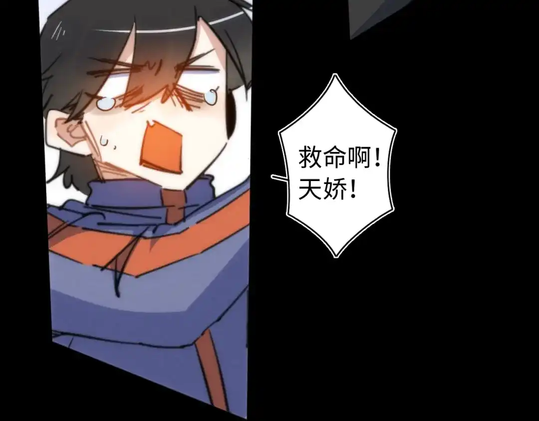 第234页