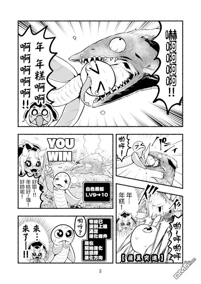 第5页