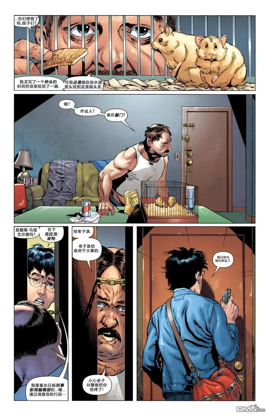 第5页