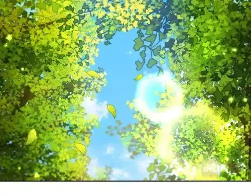 第217页