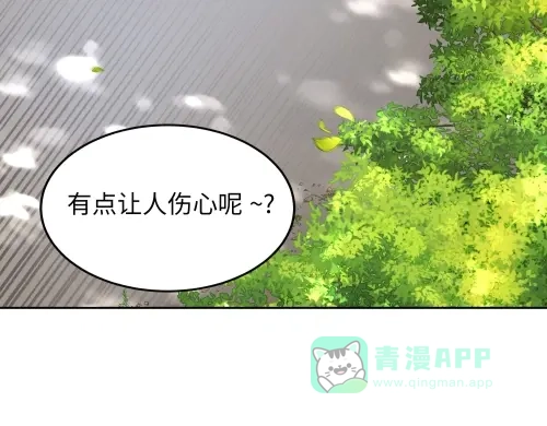 第226页